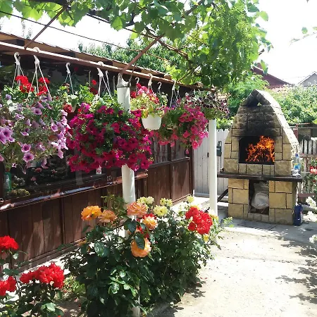 Vila Georgiana 度假居