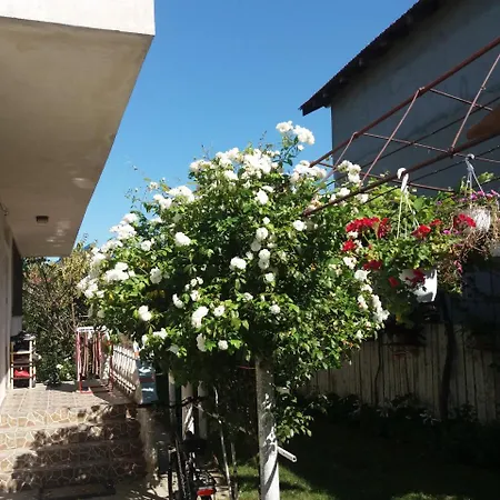 Vila Georgiana 度假居 *