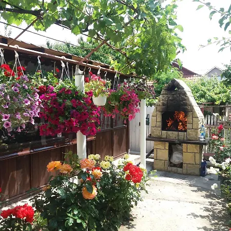 Vila Georgiana * Năvodari