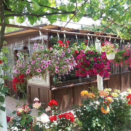 Semesterbostad Vila Georgiana Năvodari